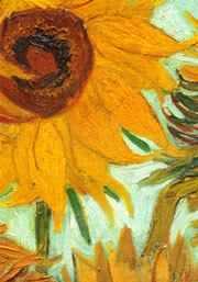Van Gogh\'s Sunflowers