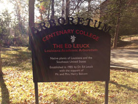 Ed Leuck Arboretum